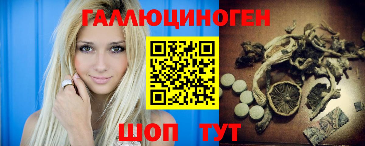 Кызыл  Псилоцибиновые грибы Psilocybe  Вход с VPN 