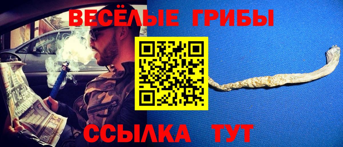 Псилоцибиновые грибы мицелий Кызыл
